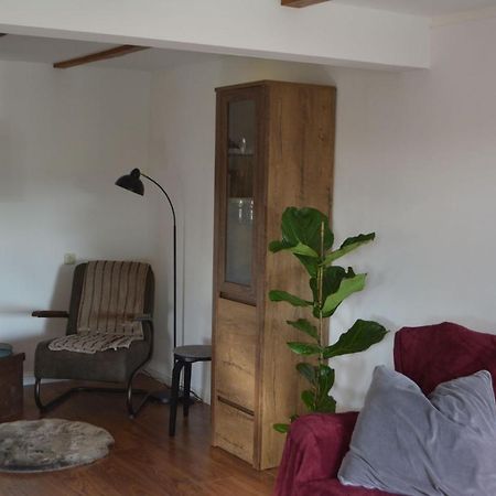 Ferienwohnung Grafenland Dersum Zewnętrze zdjęcie